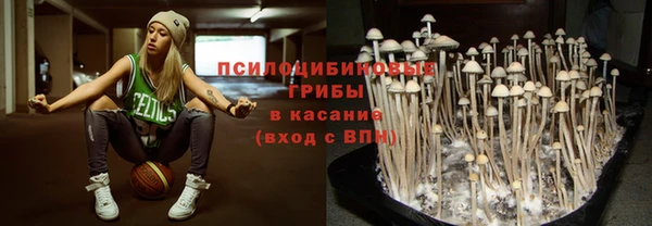 не бодяженный Аркадак