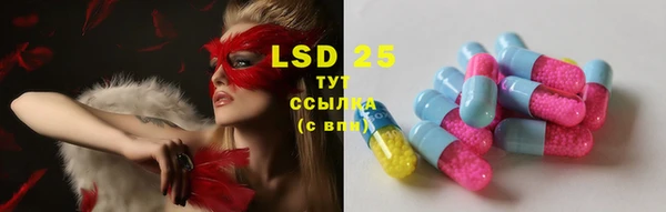 индика Семикаракорск
