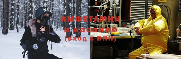тгк Арсеньев
